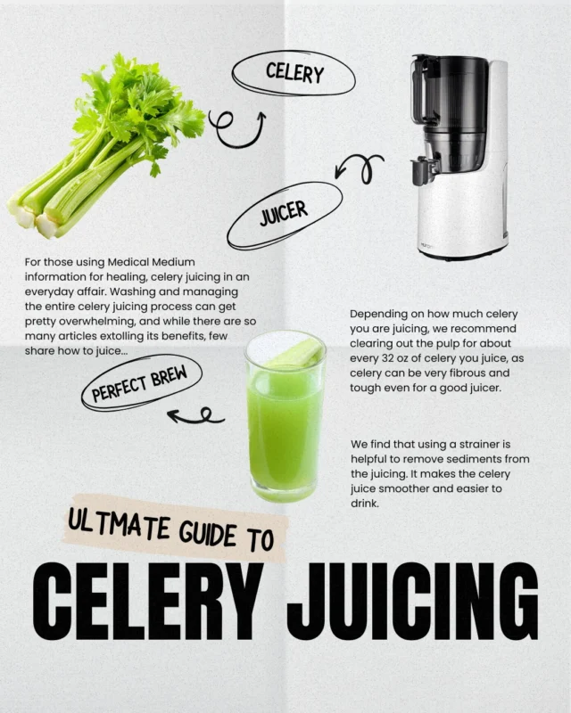 For those using Medical Medium information for healing, celery juicing in an everyday affair. Washing and managing the entire celery juicing process can get pretty overwhelming, and while there are so many articles extolling its benefits, few share how to juice. Having juiced celery every morning for a family of five in the past 7 years, I attempt to share here our experience and tips on how you can juice successfully for the family. 👨‍👩‍👧‍👦❤️ Read the full blog post on our website: (https://cleanfoodhaven.com/your-guide-to-successful-celery-juicing) The link is also in our bio :) #HealingwithCFH #celeryjuice #celeryjuicechallenge #medicalmediumcommunity #medicalmedium #cleanerlifestyle #foodforourhealth #eatwellbewell