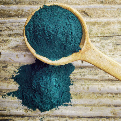 USA Growth Spirulina Powder in spoon