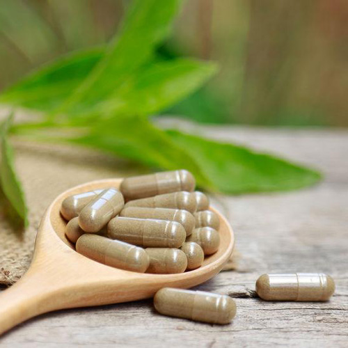Chaga Mushroom Powder Capsules Vimergy Chaga Capsules